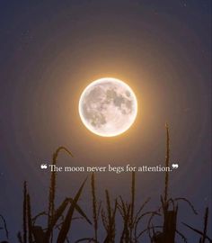 the moon never begins for attention