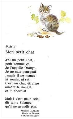 an image of a poem written in french with a kitten on the ground and leaves around it