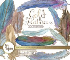 watercolor feathers clipart set for commercial use by tan nolena - gold feathers