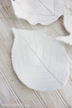 three white leaf shaped dishes sitting on top of a wooden table