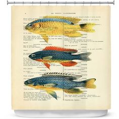 three fish shower curtain with different colors and sizes on the bottom, in front of a white background