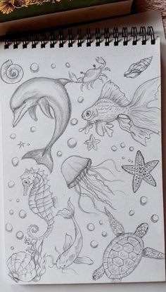 a drawing of sea animals and fish on a sheet of paper next to an open notebook