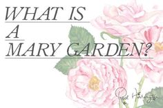 a watercolor painting of pink roses with the words, what is a mary garden?