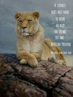 a lion sitting on top of a rock with a quote above it that reads, a lioness does not need to roar to keep the crowd in awe african prove