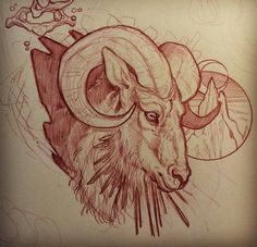 a drawing of a ram with horns and a skull on it's back side