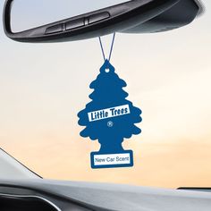 there is a blue christmas ornament hanging from the side of a car window