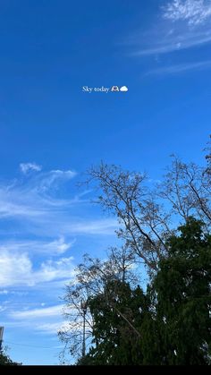 the sky is very blue and there are trees in front of it with some clouds