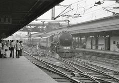 black and white photograph of people waiting on the train tracks at a train station as a train pulls into the station