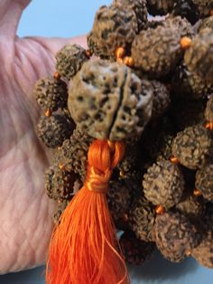 Rudraksha Mala necklace 10mm with 15mm guru bead. Hand Knotted with a cotton tassel. Hindu mala for meditation or chanting. Traditional Hand-strung Black Mala, Adjustable Hand-strung Brown Mala, Adjustable Hand-strung Spiritual Mala, Red Hand-strung Spiritual Mala, Rudraksha Mala, Amber Resin, Adjustable Knot, 108 Mala Beads, 108 Bead