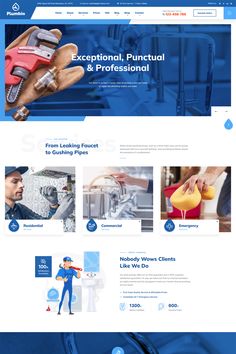 the website design for plumbing company