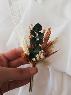 a person is holding some dried flowers in their hand