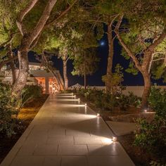 the walkway is lined with trees and lights