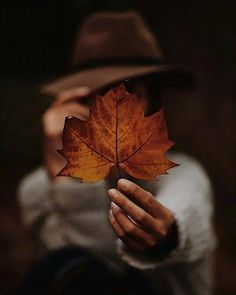 a person holding a leaf in their hands