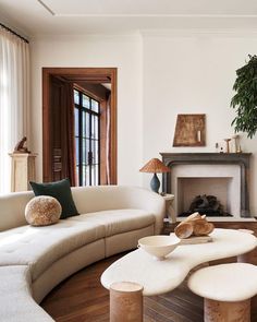 a living room filled with furniture and a fire place in front of a large potted plant