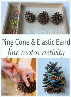 the pine cone and elastic band fine motor activity is displayed on an instagram page