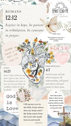 a collage of images with the words, bibles and flowers on them in different colors