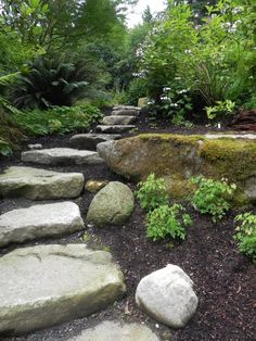 a stone path in the middle of a forest