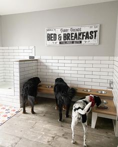 two dogs standing in the middle of a room with white tiles on the walls and floor