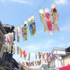 there are many fish shaped kites hanging from the clothes line in front of buildings