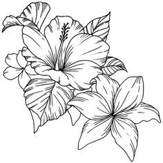 black and white drawing of flowers with leaves on the bottom, one large flower in the middle