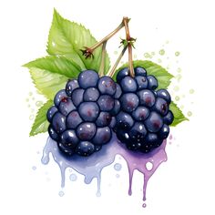 two blackberries with green leaves sit on top of a purple liquid driping down the side