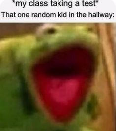 a green frog with its mouth open and tongue out in front of the caption that reads, my class taking a test that one random kid in the hallway