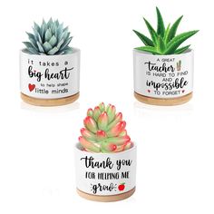 three ceramic planters with succulents in them and the words thank you for helping me grow