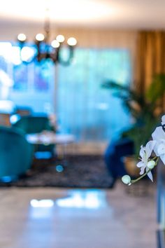 a vase with white flowers in it sitting on a table next to a blue chair