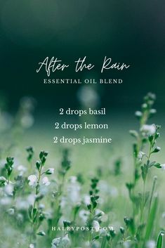 Floral Essential Oil Blends, Magia Das Ervas