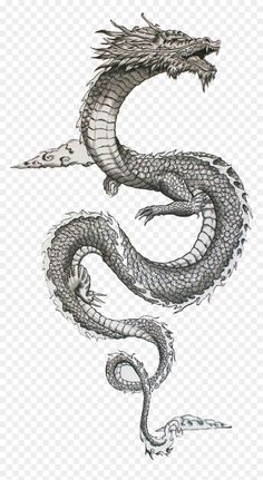 a black and white drawing of a dragon