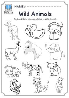 the wild animals coloring page for kids