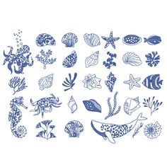 an assortment of marine life drawn in blue ink