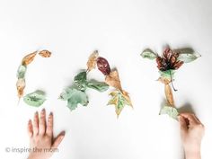 two hands are reaching for leaves on a white surface with the word love spelled out