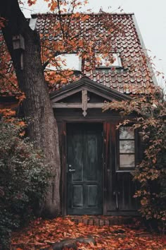 an old wooden house surrounded by trees and leaves