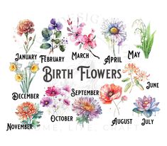 watercolor flowers are shown with the names of each flower and their birth dates on them