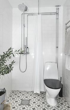 a black and white tiled bathroom with shower, toilet and plant in the corner on the floor