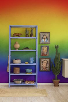 there is a blue shelf with pictures on it in the room next to a potted cactus