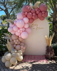 balloons and feathers decorate the entrance to a wedding ceremony at disney's animal kingdom