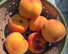 a bowl filled with lots of ripe peaches