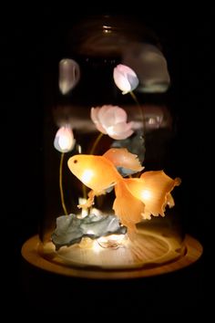 two goldfish in a glass jar with lights