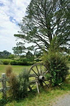 an old wooden wagon sitting on the side of a road next to a tree and fence