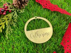 a personalized christmas ornament in the grass with pine cones and evergreens