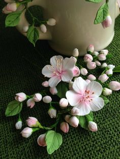 some pink flowers and green leaves on a table