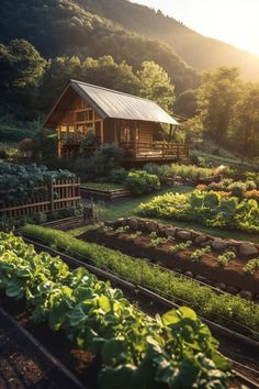 a small cabin sits in the middle of a lush green field with lots of plants