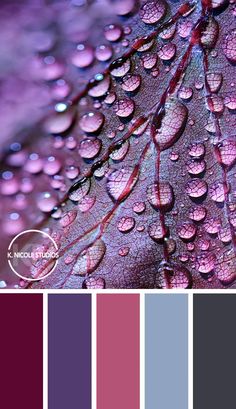 the color scheme is purple and has water droplets on it, as well as other colors