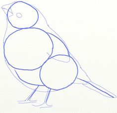 a drawing of a bird sitting on top of a table