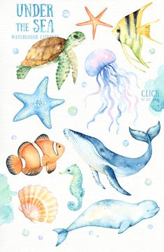 under the sea watercolor clipart