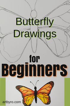 butterfly drawings for beginners book cover