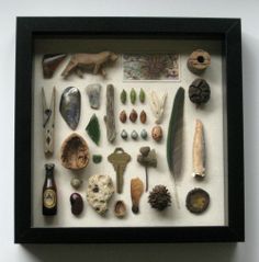 a shadow box filled with shells and other items