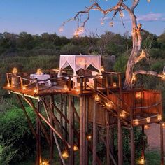 a tree house with lights on the roof